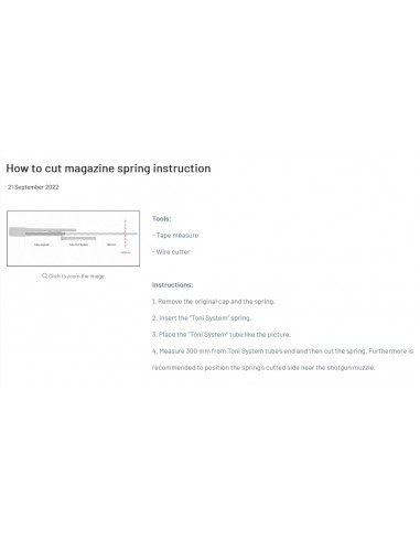 Long magazine tube estension spring...