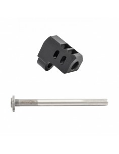 Compensatore con guidamolla...