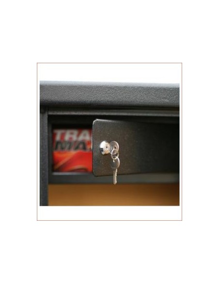 Cassaforte Sentinel SD14 - 11 armi con ottica + 3 nella porta - INFAC