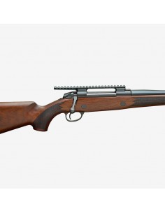 Rail Picatinny allongée... 2