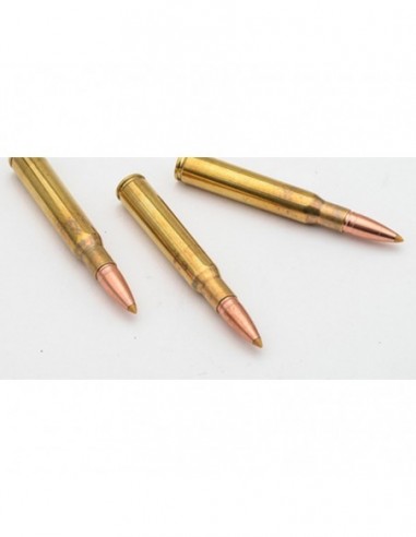 Monolithic copper bullets - Hunting...